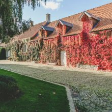 Benoît Hogedé Photographe Mariage Dunkerque