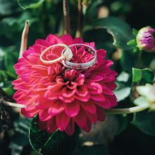 Benoît Hogedé Photographe Mariage Dunkerque